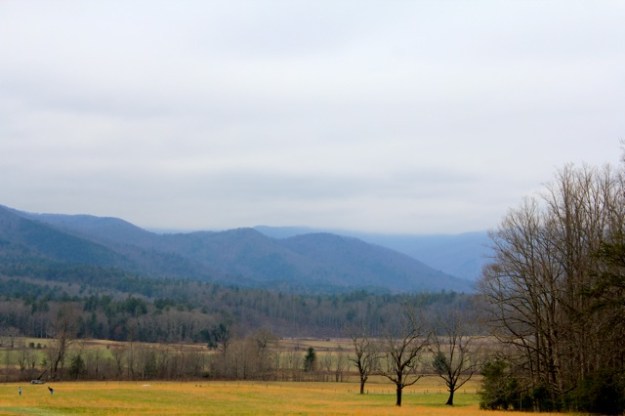 The view from the John Oliver cabin.  Such a beautiful sight! 