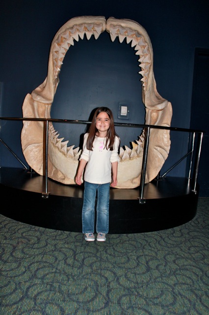 Mia at the Ripley's Aquarium.  One of her favorite things are sharks, so she loved this place! 