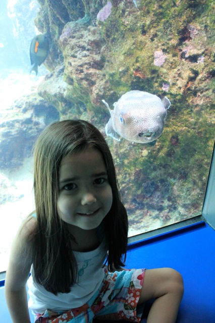 Mia at the aquarium.  