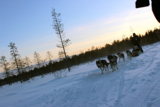 The beautiful scenery and the sun setting on our sled ride.
