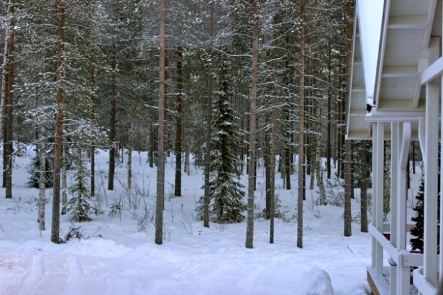 The beautiful scenery around the cabins.