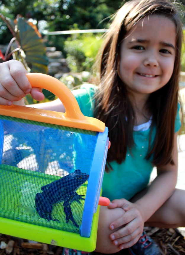 Mia was so happy to catch one of the frogs in the pond!