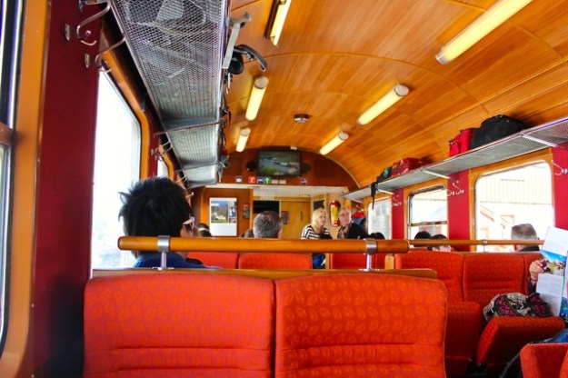 A shot of inside the train before we left the Myrdal stop.