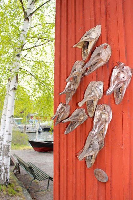 A cool display of fish heads at the Fjäderholmarna island.