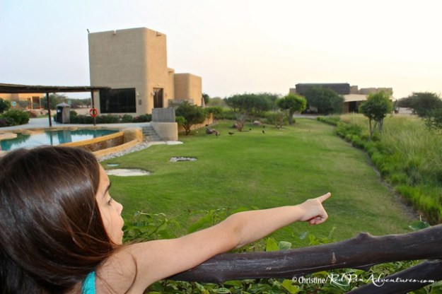 This is Mia when we first arrived at the resort. She couldn't beleive her eyes and was pointing at everything!