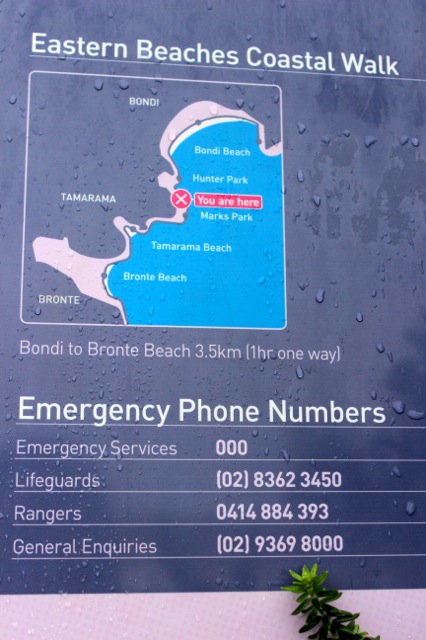 A map of the Eastern Beaches Coastal Walk.