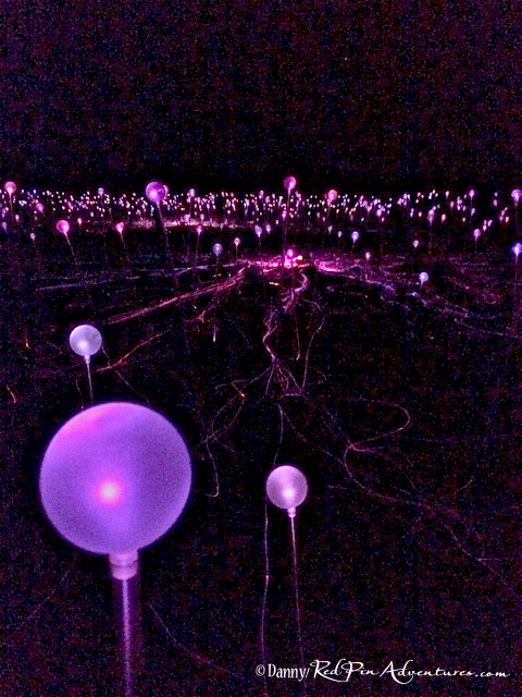 Field of Light Pathways