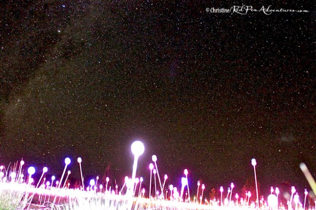 Field of Light Display